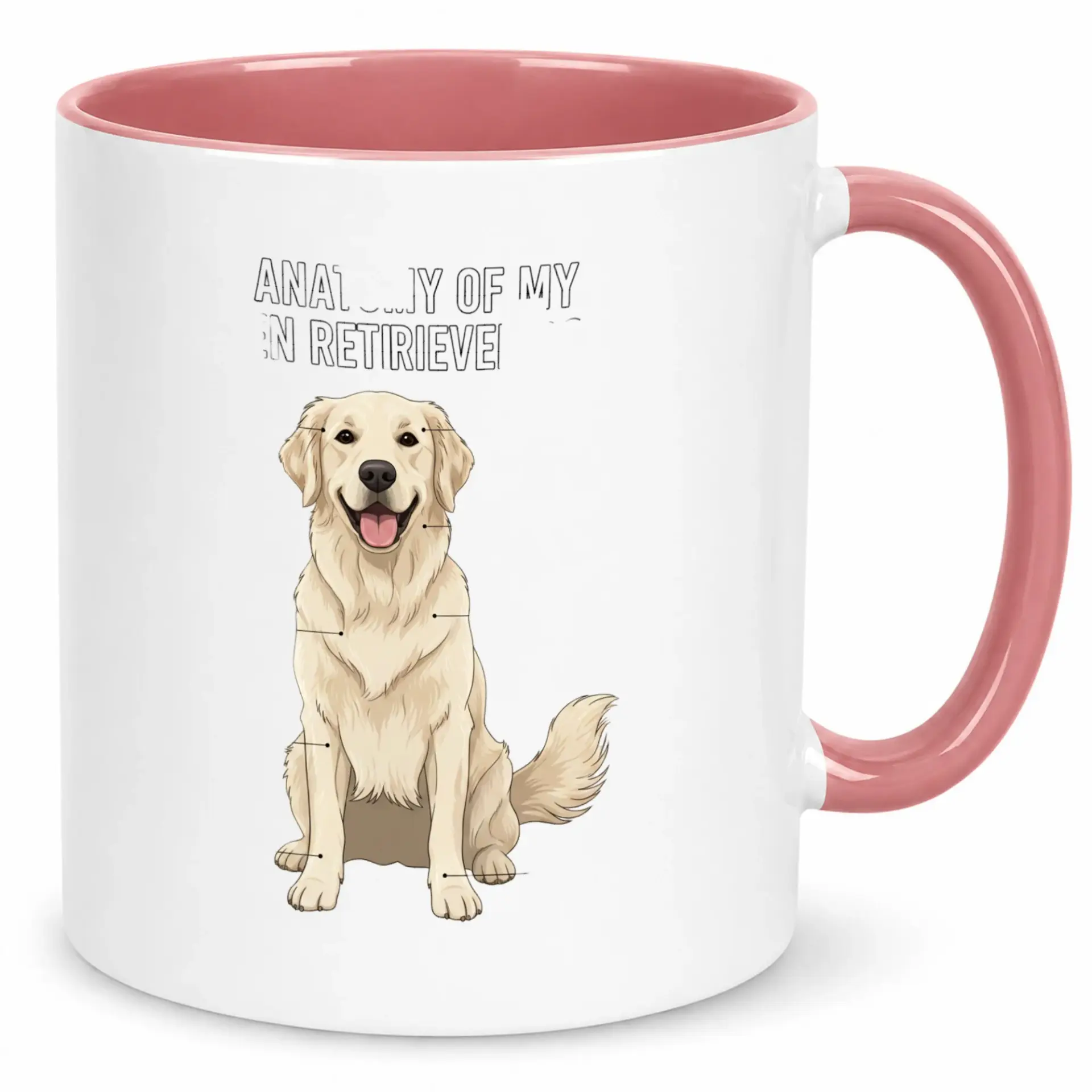 Funny Golden Dog Anatomy Ceramic Coffee Mug with Pink Handle and Interior Ideal Gift for Lovers Pet Owners Veterinarians