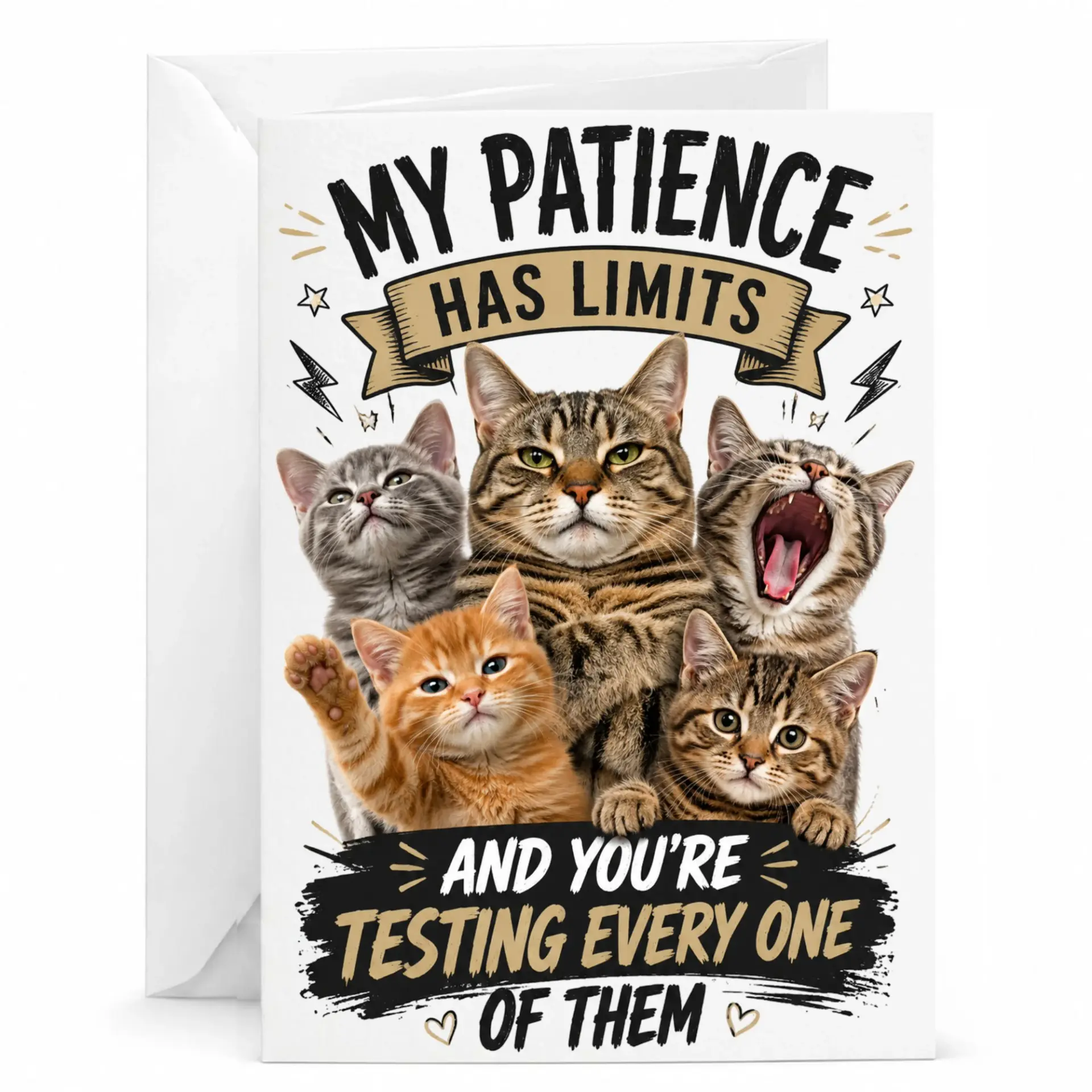 Funny Cat Greeting Card My Patience Has Limits Humorous for Friends and Family 5x7 Folded