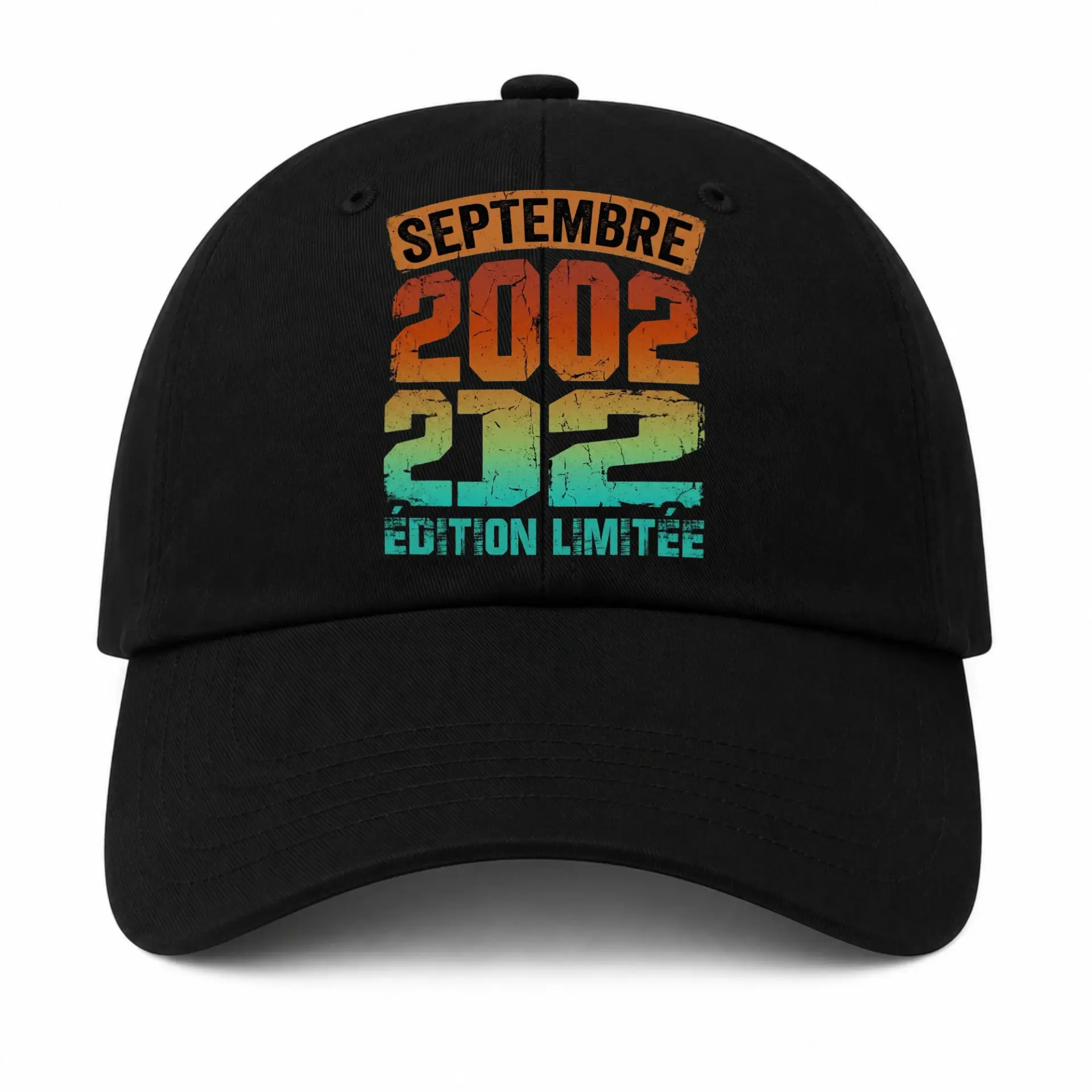 Baseball Cap Septembre 2002 Limited Edition Vintage Style Dad Hat